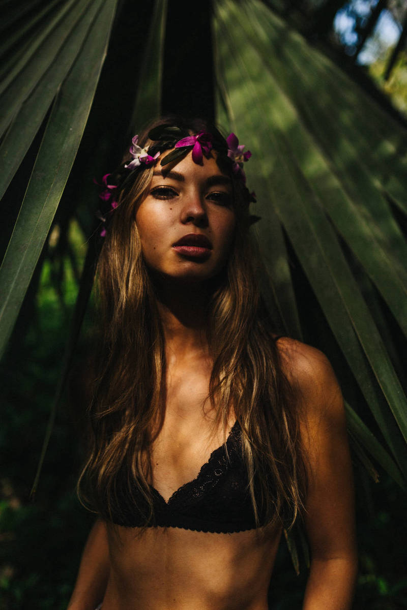 Nullam at tellus vehicula